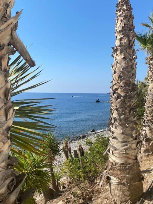 Sea Escape 2 Daire Almuñécar Dış mekan fotoğraf